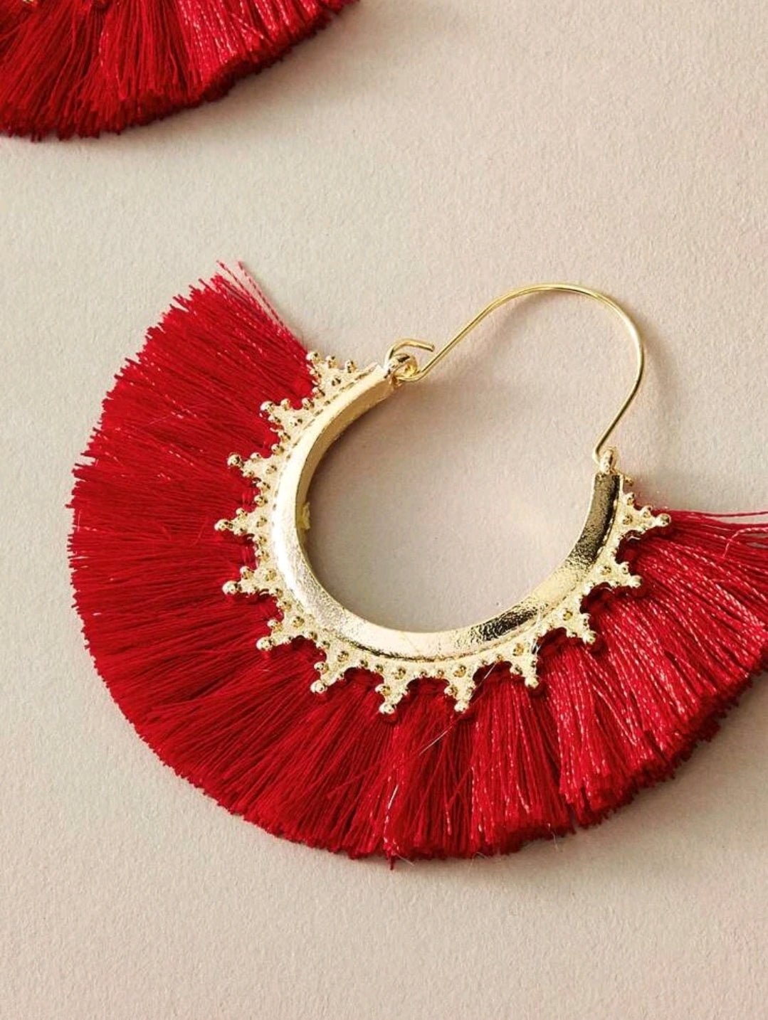 Tassel Decor Earrings